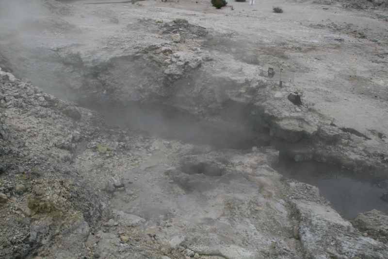 Nieuw-Zeeland 2011 - 0583